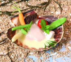 coquille